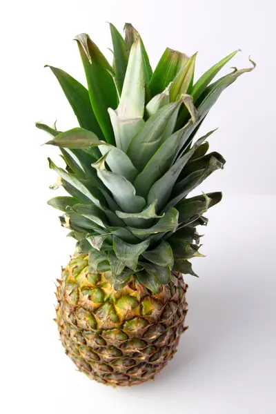 Piña — Foto de Stock