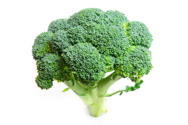 Broccoli — Stock Photo, Image