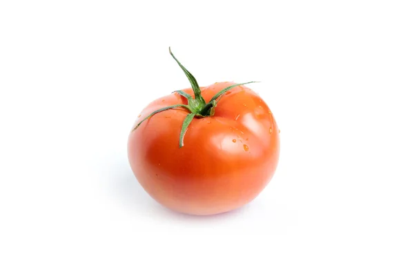 Tomaten — Stockfoto