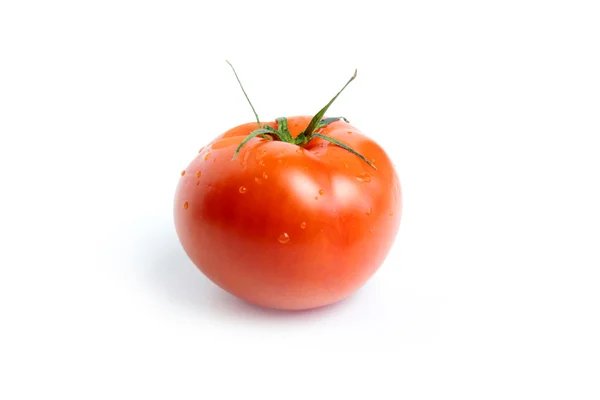Tomato Royalty Free Stock Images