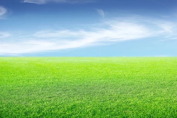 Meadow and sky — Stock Photo, Image