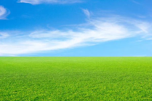 Meadow and sky — Stock Photo, Image