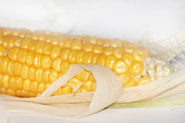 成熟的玉米 — 图库照片