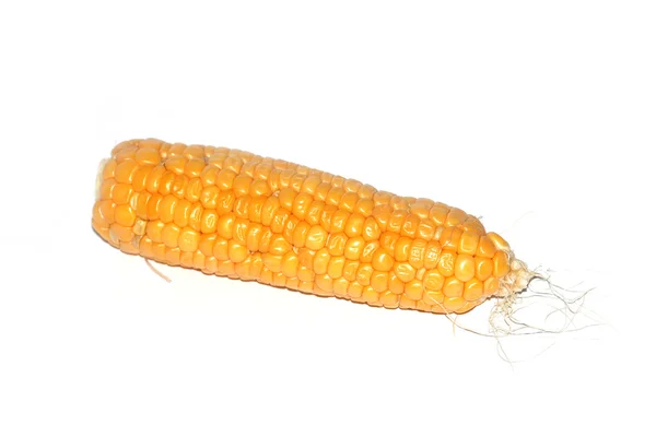 Ripe corn — Stock Photo, Image