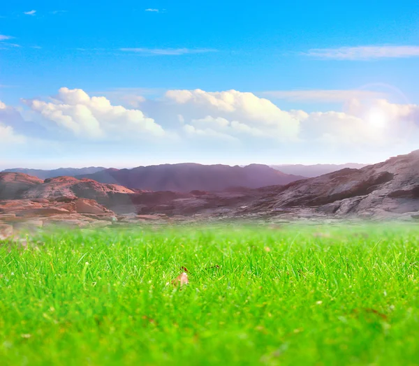 Meadow and sky — Stock Photo, Image