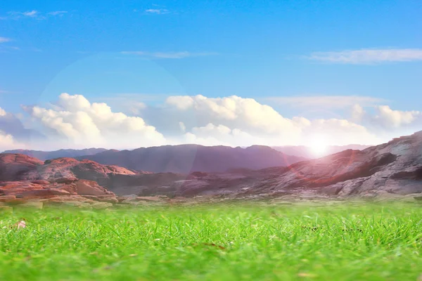 Meadow and sky — Stock Photo, Image