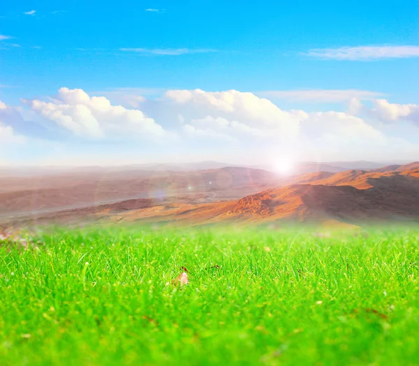 Pradera y cielo —  Fotos de Stock