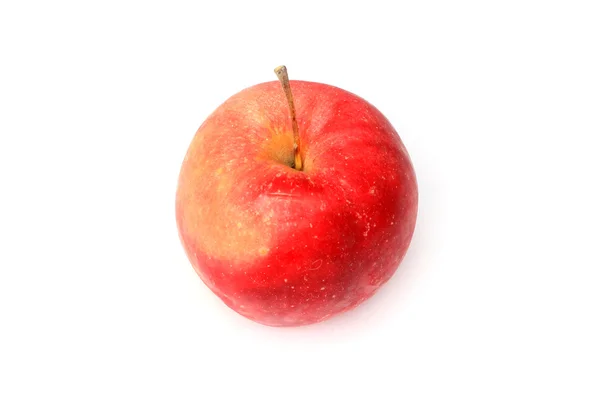 Pomme mûre — Photo