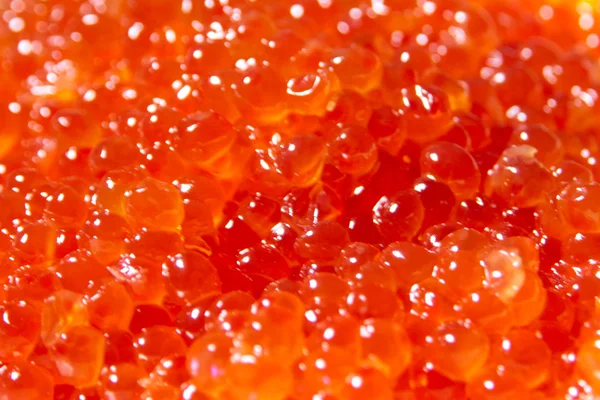 Caviar de salmão — Fotografia de Stock