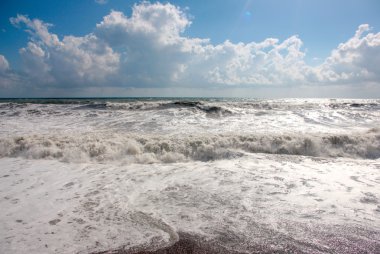 Deniz kenarında Gale