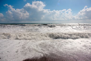 Deniz kenarında Gale