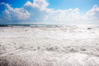 Deniz kenarında Gale