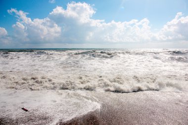 Deniz kenarında Gale