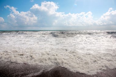 Deniz kenarında Gale