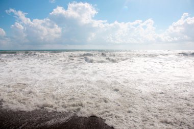 Deniz kenarında Gale