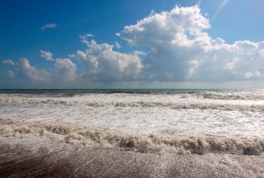 Deniz kenarında Gale