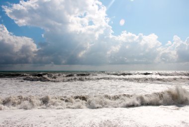 Deniz kenarında Gale