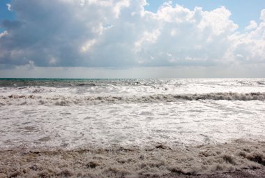 Deniz kenarında Gale