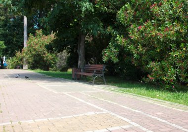 Bir tezgah bir park olduğunu