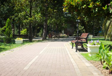 Bir tezgah bir park olduğunu