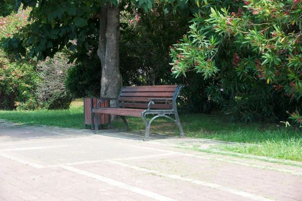 A bench is a park — Stock Photo, Image
