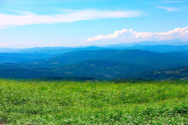 Meadow and mountain — Stock Photo, Image