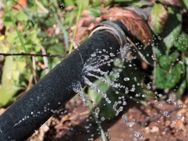 Plastik hortumdaki deliklerden temiz su fışkırıyor.
