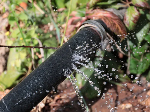 Transparent Jets Clean Water Pouring Out Holes Rubber Hose — Stock Photo, Image