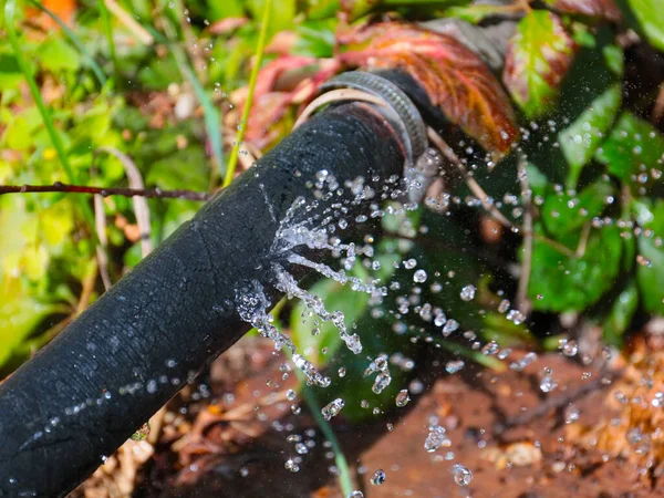 Jactos Transparentes Água Limpa Sair Dos Orifícios Mangueira Borracha — Fotografia de Stock