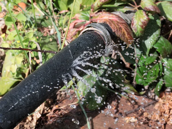 Chorros Transparentes Agua Limpia Que Salen Los Agujeros Manguera Goma — Foto de Stock