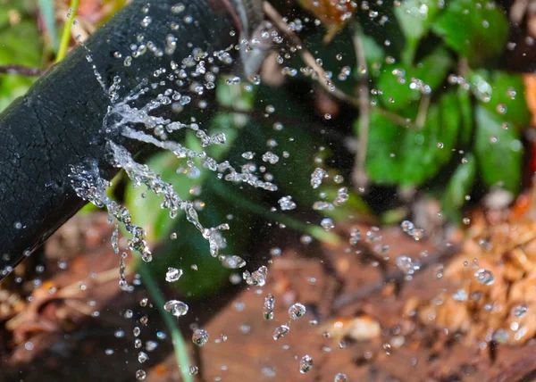 Jactos Transparentes Água Limpa Sair Dos Orifícios Mangueira Borracha — Fotografia de Stock