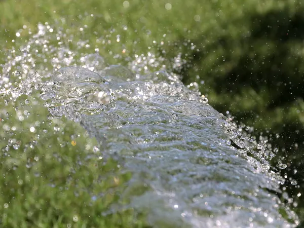 Chorros Transparentes Agua Limpia Regar Césped Hierba Verde — Foto de Stock