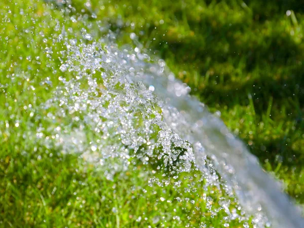 Chorros Transparentes Agua Limpia Regar Césped Hierba Verde — Foto de Stock