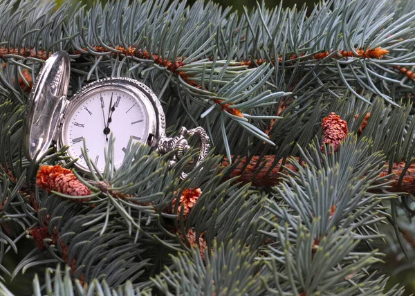 Vintage Pocket Watch Lies Branch New Year Pine Tree — Stock Photo, Image