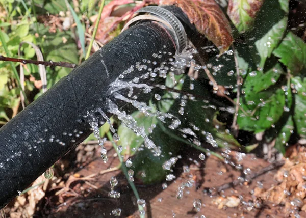 Transparente Wasserstrahlen Die Aus Den Löchern Auf Dem Gummischlauch Strömen lizenzfreie Stockbilder