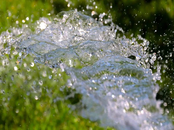 Chorros Transparentes Agua Limpia Regar Césped Hierba Verde — Foto de Stock