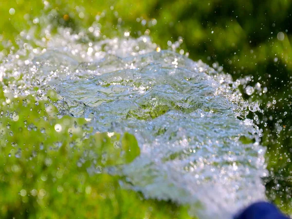 Jatos Transparentes Água Limpa Irrigar Gramado Grama Verde — Fotografia de Stock