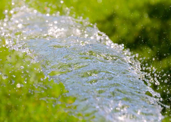 浇灌青草草坪时 清澈的水柱 — 图库照片