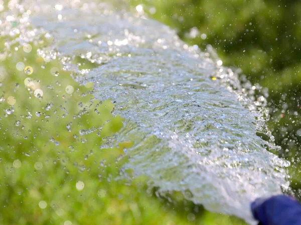 Jatos Transparentes Água Limpa Irrigar Gramado Grama Verde — Fotografia de Stock