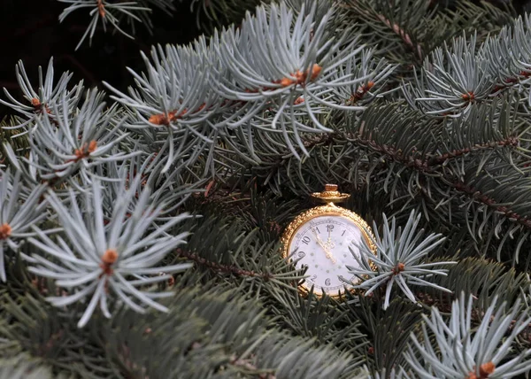 Retro Kapesní Hodinky Zlatém Pouzdře Visí Větvi Vánočního Stromku — Stock fotografie