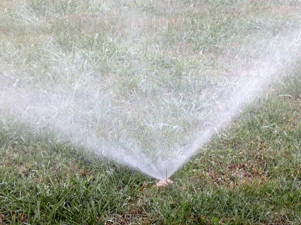 プラスチックスプレーで芝生に水をやると — ストック写真