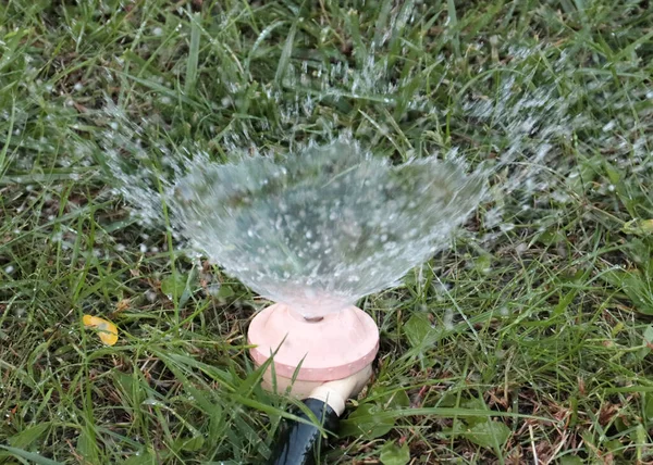 Ventilatore Flusso Acqua Pura Spruzzatore Mentre Innaffiare Erba Verde — Foto Stock