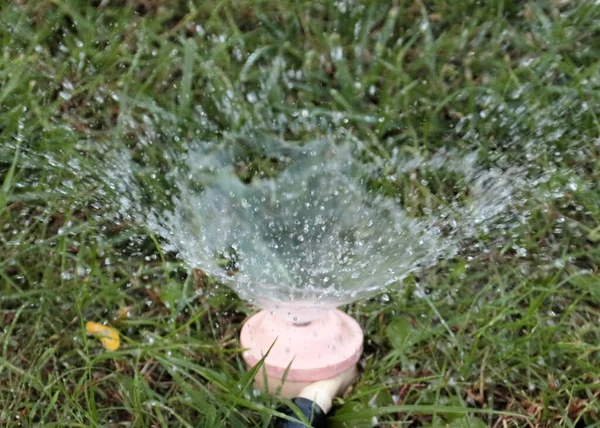 緑の草に水をやりながら噴霧器から純粋な水の流れのファン — ストック写真