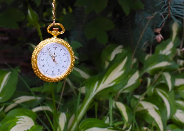 Zabytkowy Zegarek Kieszonkowy Hosta Ogród Roślin Dekoracji Łąki — Zdjęcie stockowe