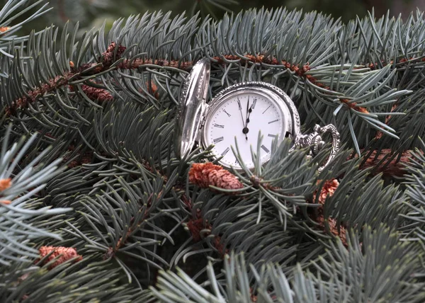 Orologio Tasca Vintage Ramo Dell Albero Natale — Foto Stock
