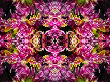 Taze çiçeklerin olduğu bir kaleydoskop ile fotoğraflandığında tuhaf çiçek desenleri