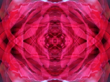 Kaleydoskoptaki bir çiçeğe bakarken tuhaf pembe soyut desenler.