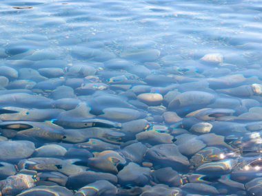 Güzel deniz taşlı plaj ve berrak su