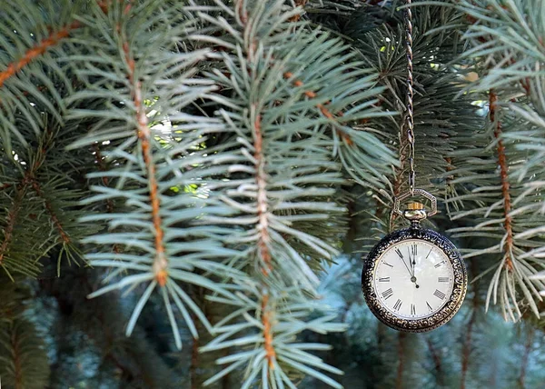 Egy Gyönyörű Vintage Zsebóra Egy Arany Tok Lóg Egy Ágon — Stock Fotó