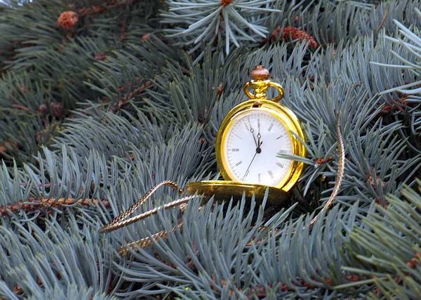 Bellissimo Orologio Tasca Vintage Una Cassa Oro Pende Ramo Albero — Foto Stock